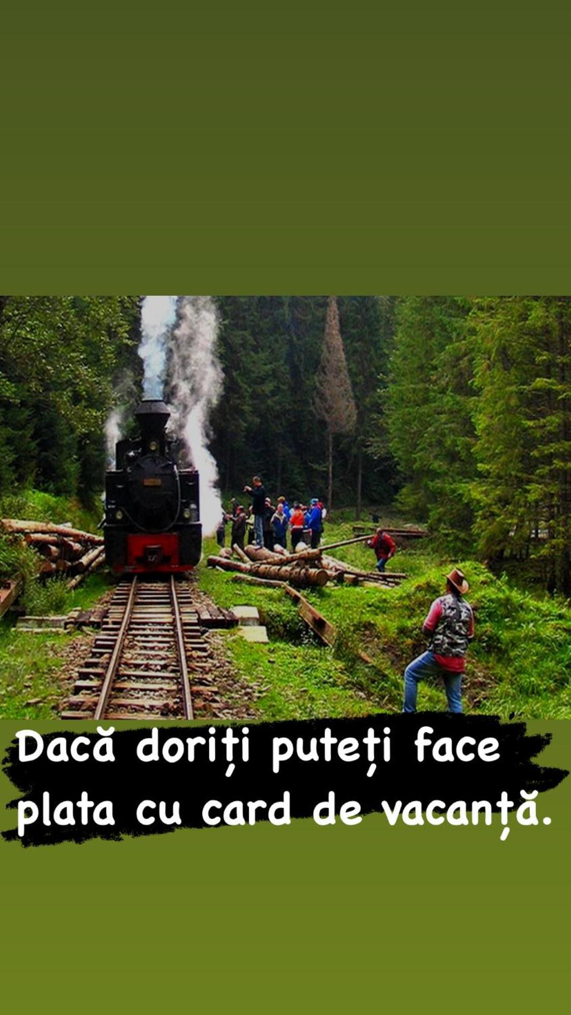 Pensiunea Iza Viseu de Jos Bagian luar foto